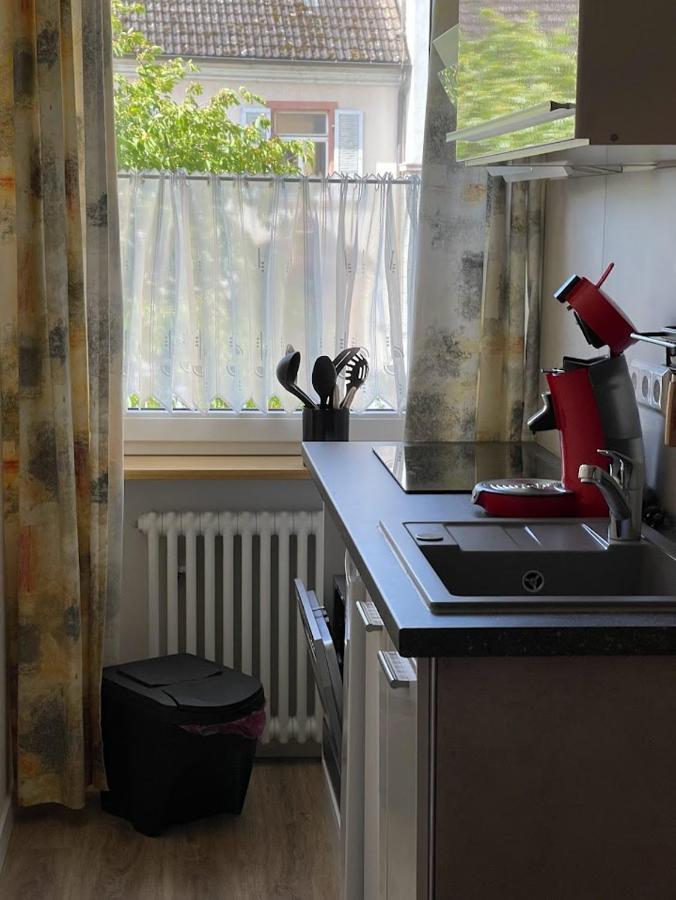 Zum Schwanen Garni Hotel Buggingen Екстериор снимка